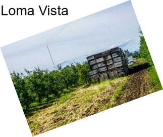 Loma Vista