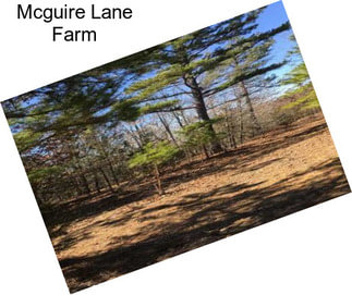 Mcguire Lane Farm