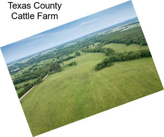 Texas County Cattle Farm