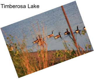 Timberosa Lake