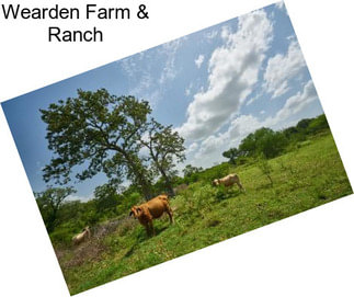 Wearden Farm & Ranch