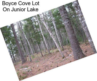 Boyce Cove Lot On Junior Lake