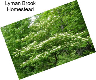 Lyman Brook Homestead