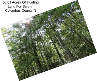 50.81 Acres Of Hunting Land For Sale In Columbus County N