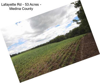 Lafayette Rd - 53 Acres - Medina County