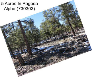 5 Acres In Pagosa Alpha (730303)