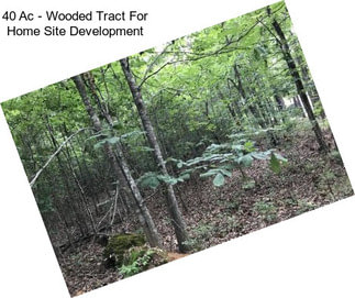 40 Ac - Wooded Tract For Home Site Development