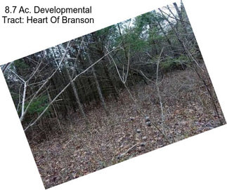 8.7 Ac. Developmental Tract: Heart Of Branson