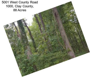 5001 West County Road 1000, Clay County, 88 Acres