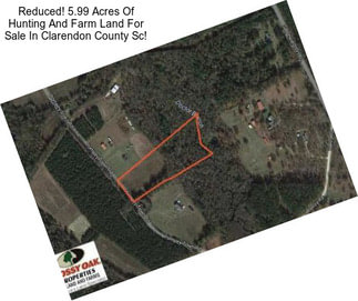 Reduced! 5.99 Acres Of Hunting And Farm Land For Sale In Clarendon County Sc!