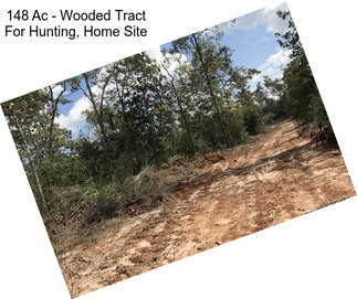 148 Ac - Wooded Tract For Hunting, Home Site