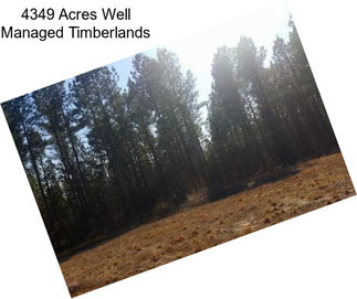 4349 Acres Well Managed Timberlands