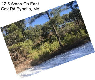 12.5 Acres On East Cox Rd Byhalia, Ms