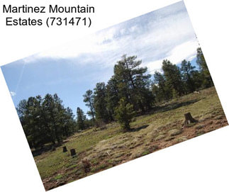 Martinez Mountain Estates (731471)