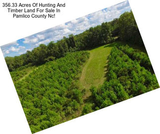 356.33 Acres Of Hunting And Timber Land For Sale In Pamlico County Nc!