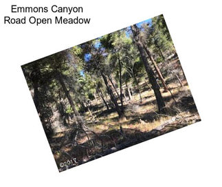 Emmons Canyon Road Open Meadow