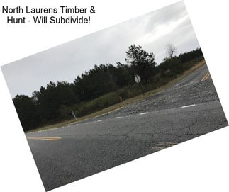 North Laurens Timber & Hunt - Will Subdivide!