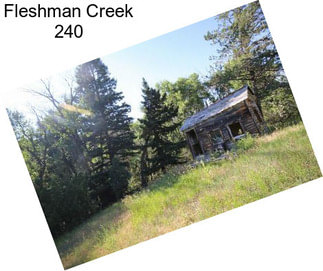 Fleshman Creek 240