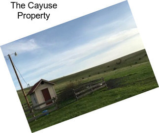 The Cayuse Property