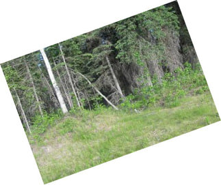 This Property Has A Private Feel Located Just Outside Of Town. This Property Has Some Wet And Dry Land Surrounding It. Located Just Minutes From Town, This Is A Great Spot To Build A Home.
Mls 17-9933