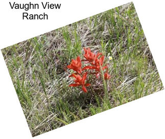 Vaughn View Ranch