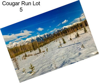 Cougar Run Lot 5