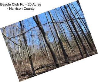 Beagle Club Rd - 20 Acres - Harrison County