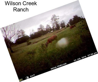 Wilson Creek Ranch