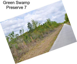 Green Swamp Preserve 7