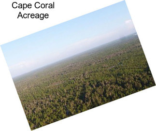 Cape Coral Acreage