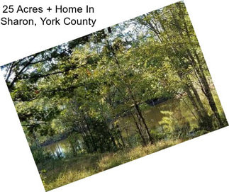 25 Acres + Home In Sharon, York County