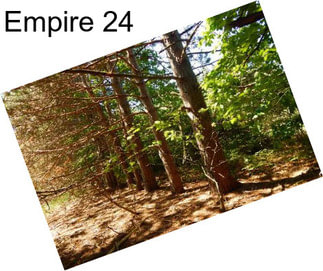 Empire 24