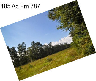 185 Ac Fm 787