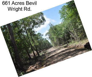 661 Acres Bevil Wright Rd.