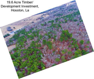 19.6 Acre Timber/ Development Investment, Hosston, La