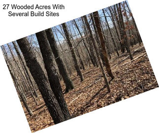 27 Wooded Acres With Several Build Sites