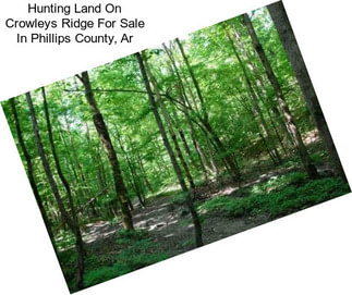 Hunting Land On Crowleys Ridge For Sale In Phillips County, Ar