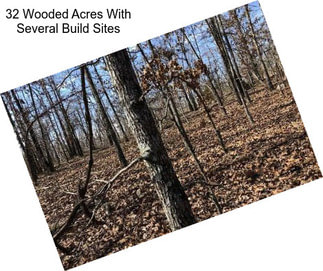 32 Wooded Acres With Several Build Sites