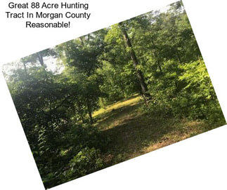 Great 88 Acre Hunting Tract In Morgan County Reasonable!