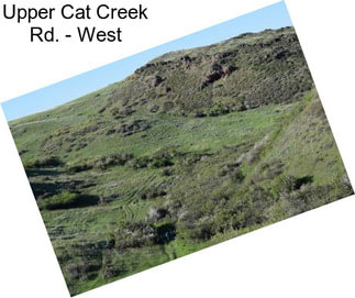 Upper Cat Creek Rd. - West