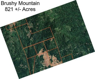 Brushy Mountain 821 +/- Acres