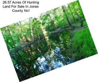 26.57 Acres Of Hunting Land For Sale In Jones County Nc!
