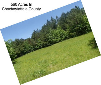 560 Acres In Choctaw/attala County