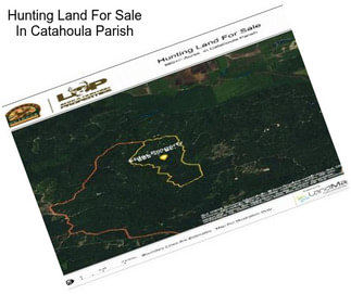 Hunting Land For Sale In Catahoula Parish