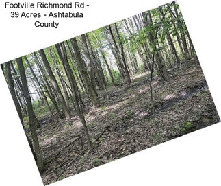 Footville Richmond Rd - 39 Acres - Ashtabula County