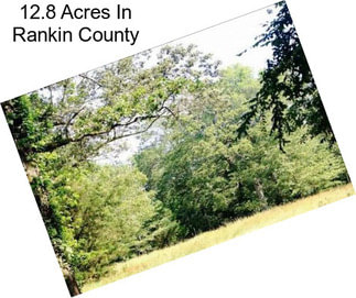 12.8 Acres In Rankin County