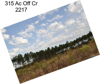 315 Ac Off Cr 2217