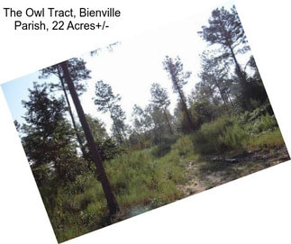 The Owl Tract, Bienville Parish, 22 Acres+/-