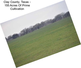 Clay County, Texas - 155 Acres Of Prime Cultivation