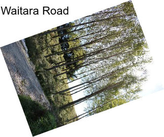Waitara Road